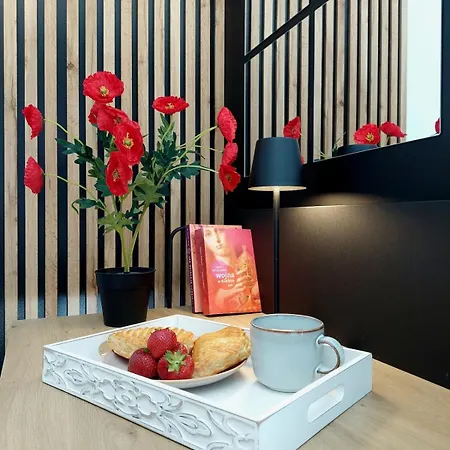 Apartament Modern *