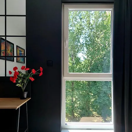 Modern Apartament Bielsko-Biała